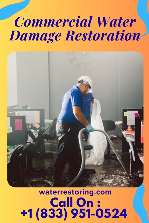 Commercial Water Damage Restoration in Texico, NM