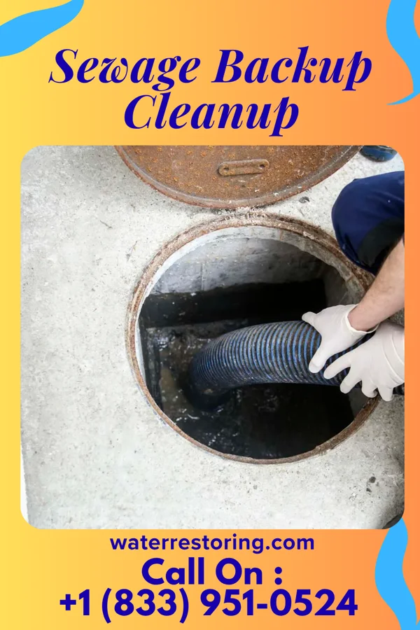 Sewage Backup Cleanup in Texico, NM