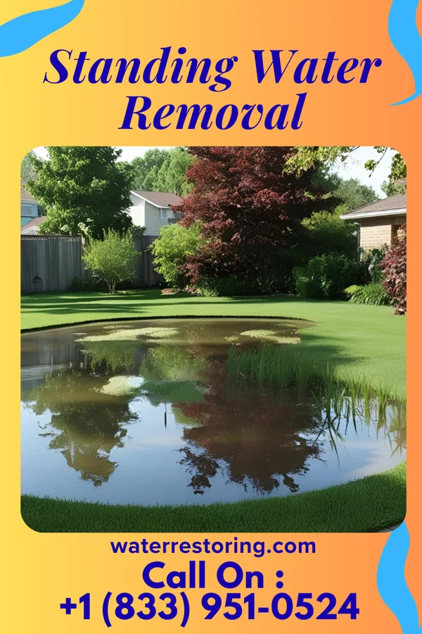 Standing Water Removal in Texico, NM